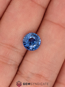 Impressive Round Blue Sapphire 2.64ct