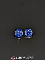Load image into Gallery viewer, Classy Round Blue Sapphire Pair 1.27ctw
