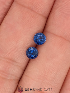 Classy Round Blue Sapphire Pair 1.27ctw