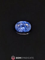 Load image into Gallery viewer, Classy Oval Blue Sapphire 2.57ct
