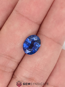 Commanding Oval Blue Sapphire 3.06ct