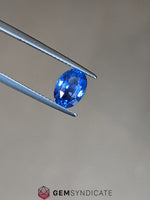 Load image into Gallery viewer, Enticing Oval Blue Sapphire 2.09ct
