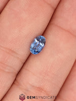 Load image into Gallery viewer, Magical Oval Blue Sapphire 1.18ct

