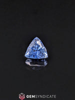 Load image into Gallery viewer, Angelic Trillion Blue Sapphire 1.18ct
