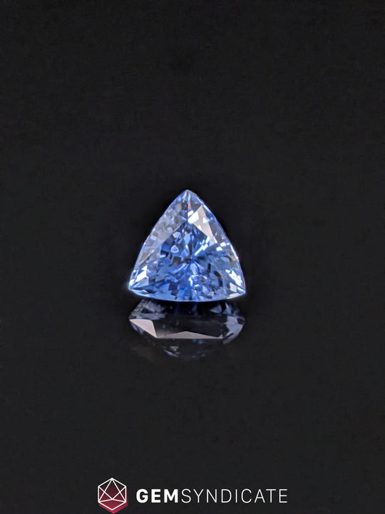 Angelic Trillion Blue Sapphire 1.18ct