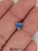 Load image into Gallery viewer, Angelic Trillion Blue Sapphire 1.18ct
