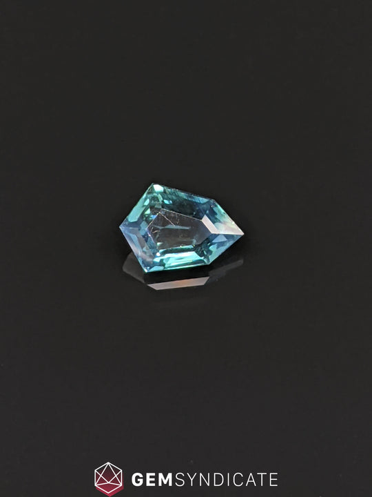 Precious Elongated Hexagon Blue Sapphire 1.48ct