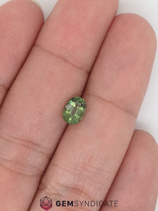 Luminous Oval Green Sapphire 1.12ct