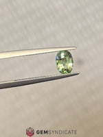 Load image into Gallery viewer, Luminous Oval Green Sapphire 1.12ct
