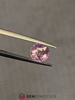 Load image into Gallery viewer, Stunning Round Padparasha Peach Sapphire 1.97ct
