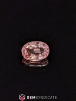 Load image into Gallery viewer, Gorgeous Oval Padparasha Peach Sapphire 2.16ct
