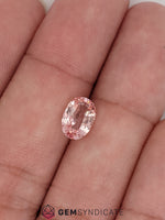 Load image into Gallery viewer, Gorgeous Oval Padparasha Peach Sapphire 2.16ct
