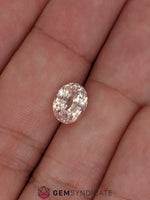 Load image into Gallery viewer, Magnificent Oval Peach Sapphire 3.21ct
