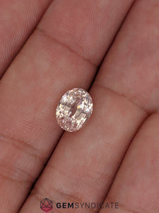 Magnificent Oval Peach Sapphire 3.21ct