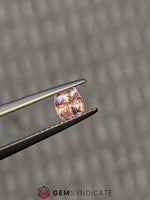 Load image into Gallery viewer, Exquisite Cushion Peach Sapphire 0.65ct
