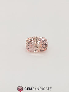 Splendid Cushion Padparasha Peach Sapphire 1.54ct