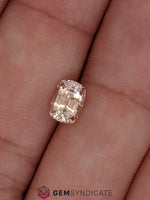 Load image into Gallery viewer, Excellent Cushion Peach Sapphire 1.24ct
