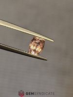 Load image into Gallery viewer, Excellent Cushion Peach Sapphire 1.24ct
