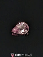 Load image into Gallery viewer, Elegant Pear Shape Peach Sapphire 1.60ct
