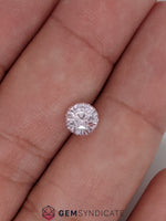 Load image into Gallery viewer, Lovely Round Pink Sapphire 1.56ct
