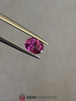 Load image into Gallery viewer, Magnificent Oval Pink Sapphire 0.85ct
