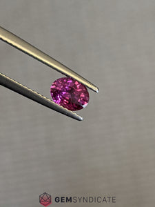 Magnificent Oval Pink Sapphire 0.85ct