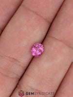 Load image into Gallery viewer, Exquisite Oval Pink Sapphire 0.89ct
