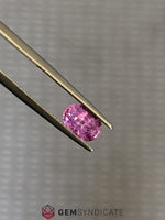 Load image into Gallery viewer, Wonderful Oval Pink Sapphire 1.68ct
