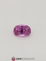 Load image into Gallery viewer, Wonderful Oval Pink Sapphire 1.68ct
