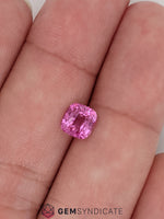Load image into Gallery viewer, Divine Cushion Pink Sapphire 1.51ct
