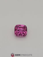 Load image into Gallery viewer, Divine Cushion Pink Sapphire 1.51ct
