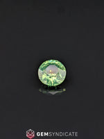 Load image into Gallery viewer, Sublime Round Teal Sapphire 1.00ct
