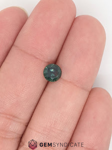 Engaging Round Teal Sapphire 0.73ct