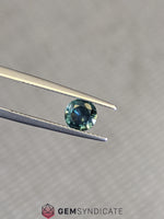 Load image into Gallery viewer, Engaging Round Teal Sapphire 0.73ct
