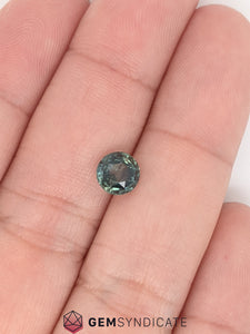 Sweet Round Teal Sapphire 1.61ct