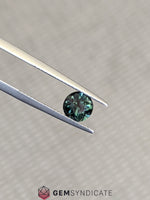 Load image into Gallery viewer, Stellar Round Teal Sapphire 1.67ct
