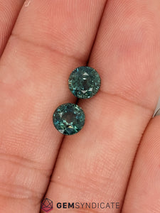 Exclusive Round Teal Sapphire Pair 2.52ctw