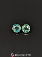 Load image into Gallery viewer, Splendid Round Teal Sapphire Pair 1.50ctw
