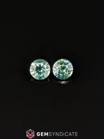 Load image into Gallery viewer, Pretty Round Teal Sapphire Pair 1.35ctw
