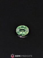 Load image into Gallery viewer, Glorious Oval Teal Sapphire 1.35ct
