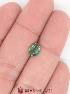 Glorious Oval Teal Sapphire 1.35ct
