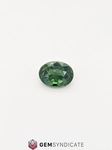 Radiant Oval Teal Sapphire 1.56ct