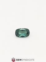 Load image into Gallery viewer, Ravishing Cushion Teal Sapphire 0.94ct
