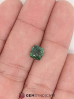 Load image into Gallery viewer, Glamorous Cushion Teal Sapphire 2.04ct
