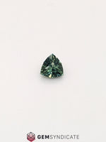 Load image into Gallery viewer, Graceful Trillion Teal Sapphire 1.11ct
