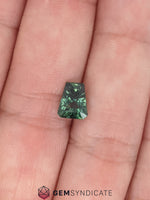 Load image into Gallery viewer, Luscious Fancy Shape Teal Sapphire 1.81ct
