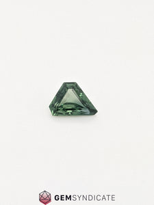 Whimsical Fancy Shape Teal Sapphire 1.22ct
