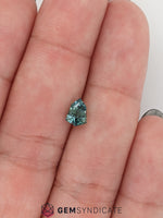 Load image into Gallery viewer, Enticing Shield Shaped Teal Sapphire 1.06ct
