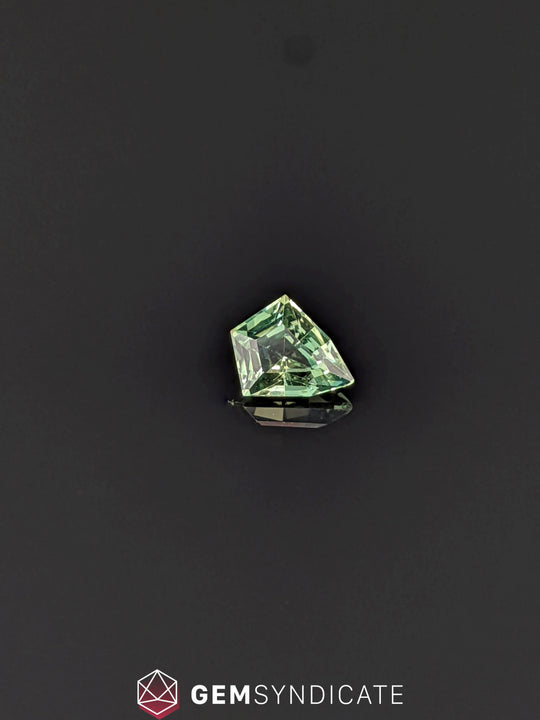 Inspiring Kite Shape Tel Sapphire 1.06ct