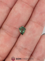 Load image into Gallery viewer, Inspiring Kite Shape Tel Sapphire 1.06ct
